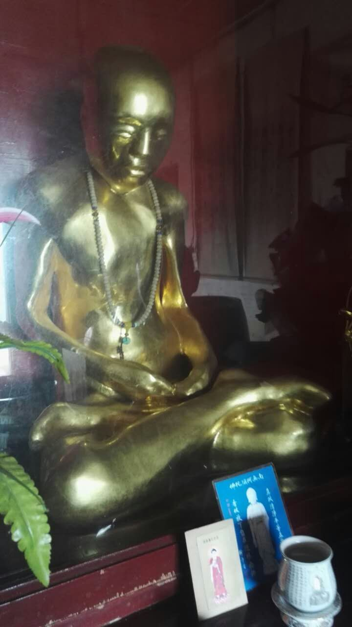 心海法进法师与永念居士礼拜当代高僧、肉身菩萨上隐下莲老法师真身舍利