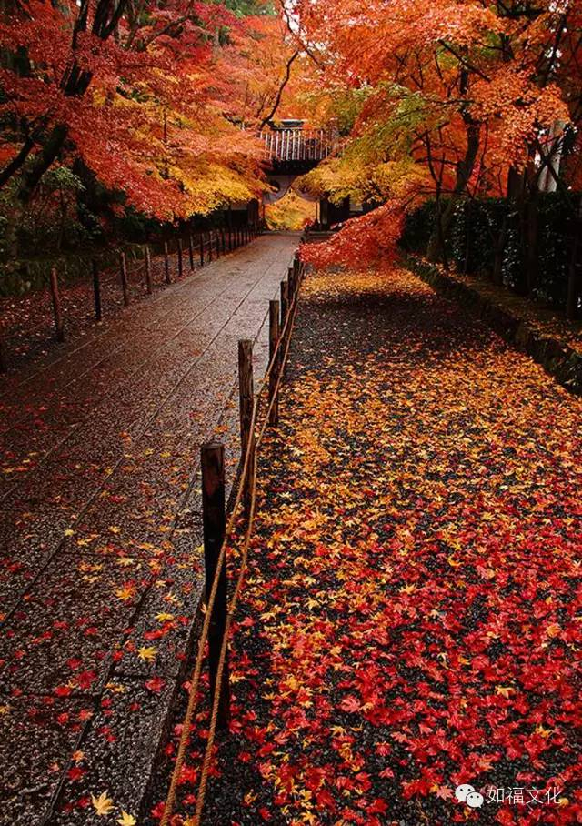 【如福文化】如福老和尚2017年新春祝福