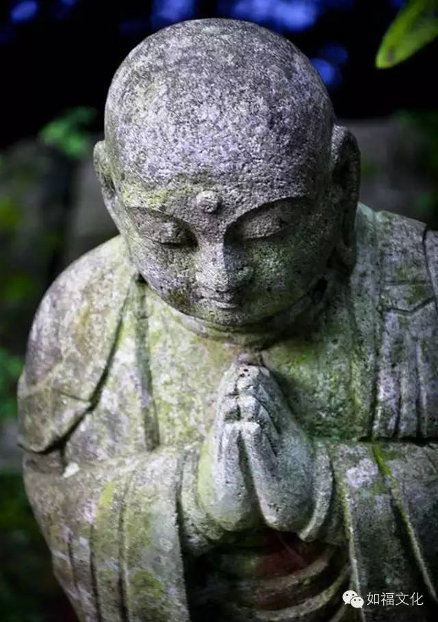 上如下福老法师 —— 83岁过寿开示