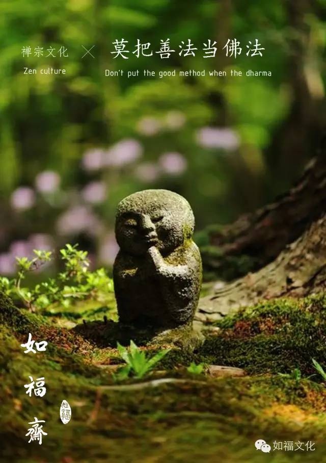 莫把善法当佛法