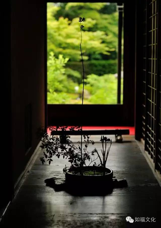 莫把善法当佛法