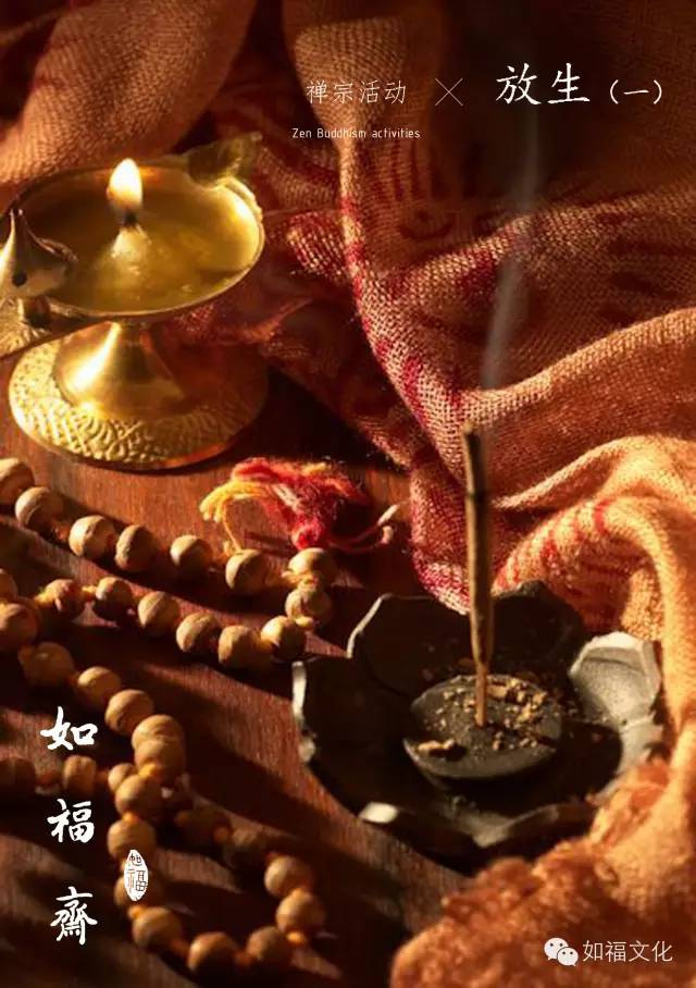 禅宗活动 —— 放生（一）
