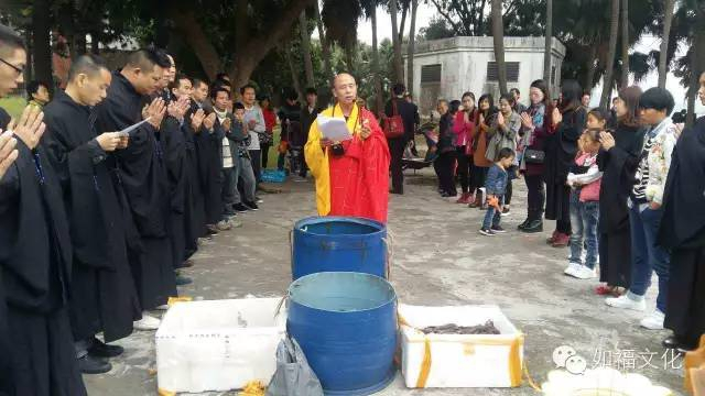 禅宗活动 —— 放生（一）