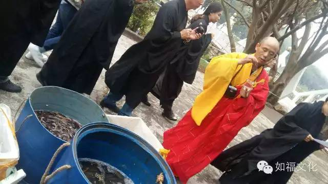 禅宗活动 —— 放生（一）