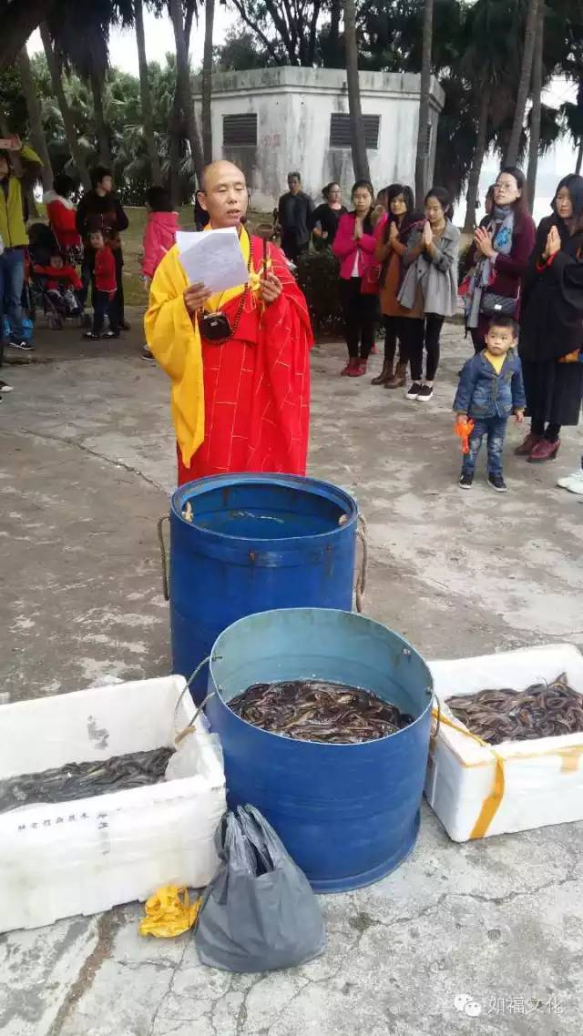 禅宗活动 —— 放生（一）