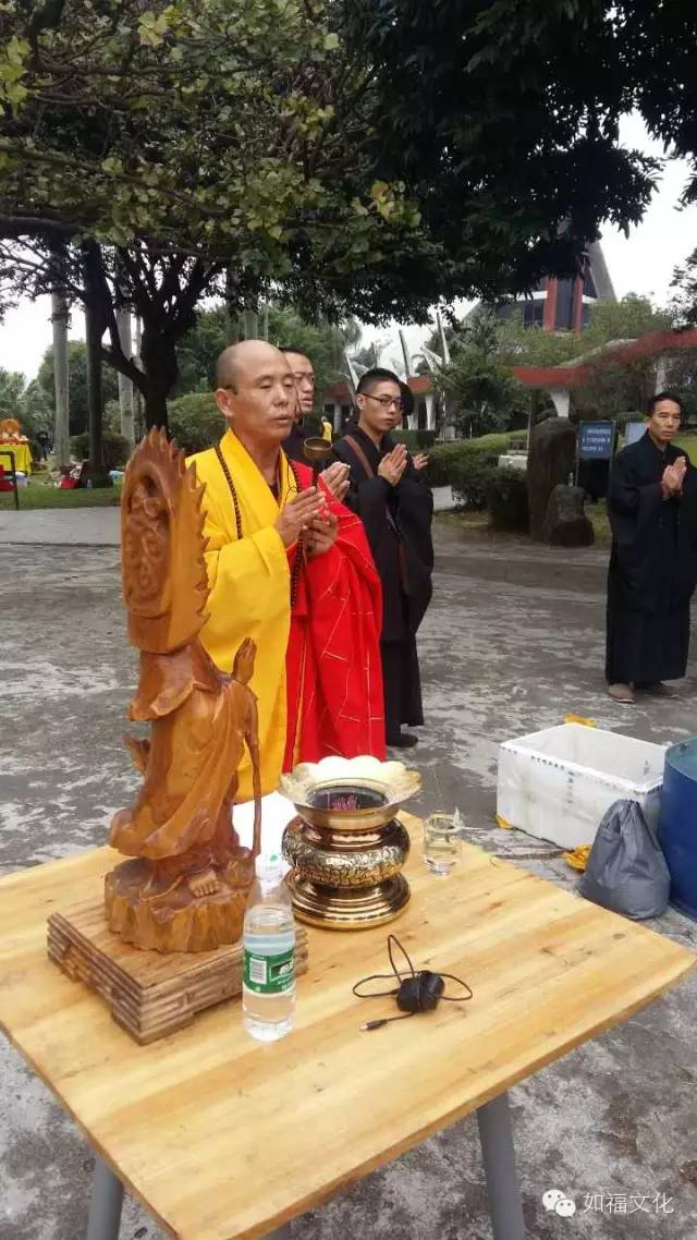 禅宗活动 —— 放生（一）