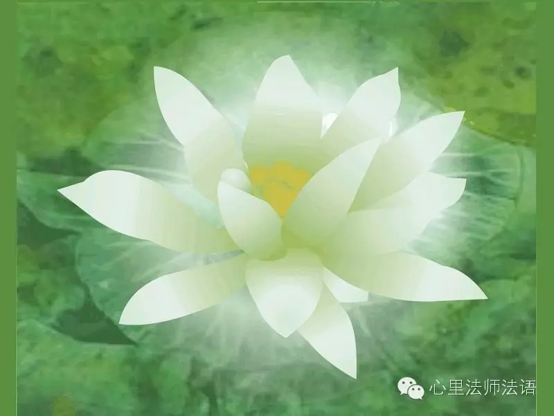 心里法师：无论因缘好坏，一切都要感恩！