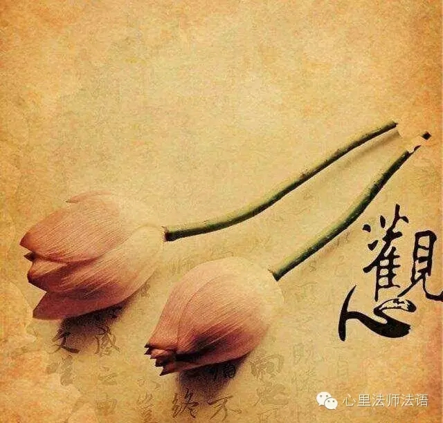 心里法师：学会聆听自己内在心的声音