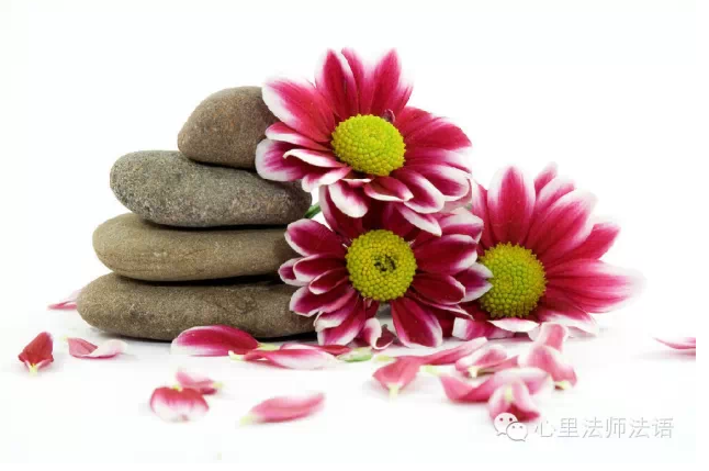 心里法师：心里法师：管好自己是聪明，放纵自己是笨蛋 。