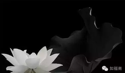 静波大和尚：戒律不是用来纠结的