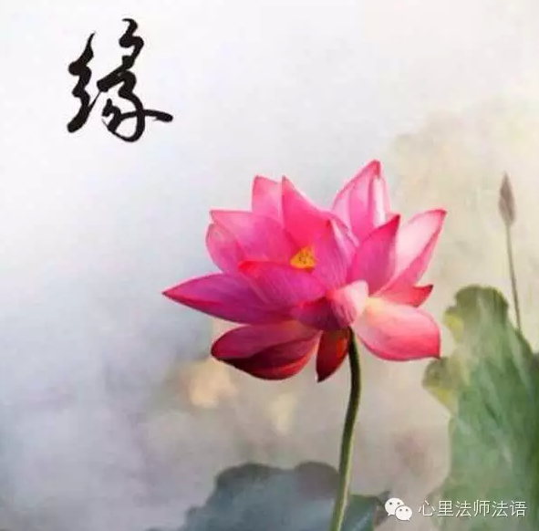 心里法师：善待他人 修缘惜福