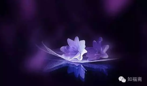 念佛法门的殊胜
