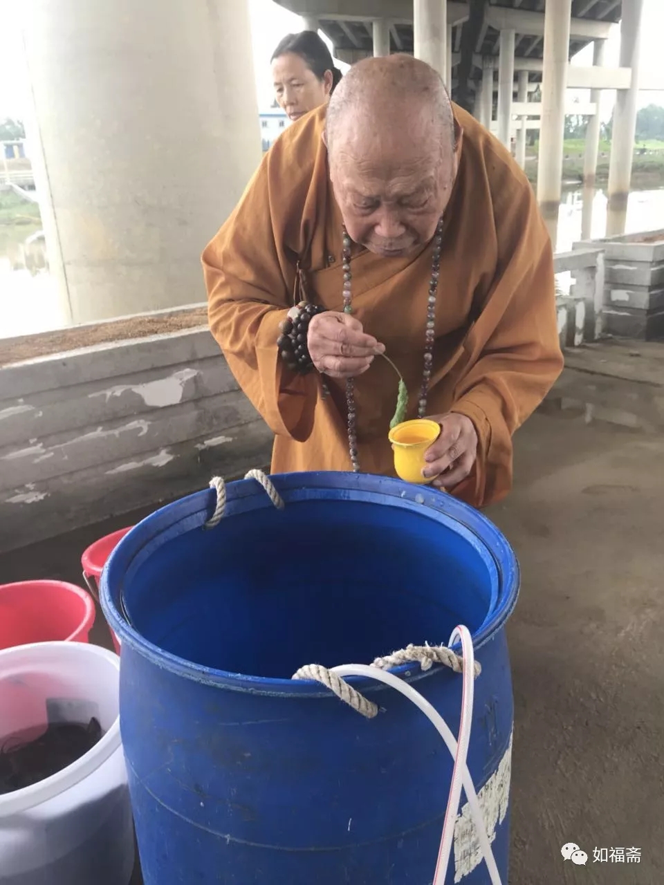 【如福文化】四海功德——（1）放生