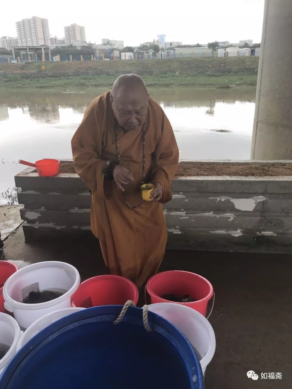 【如福文化】四海功德——（1）放生
