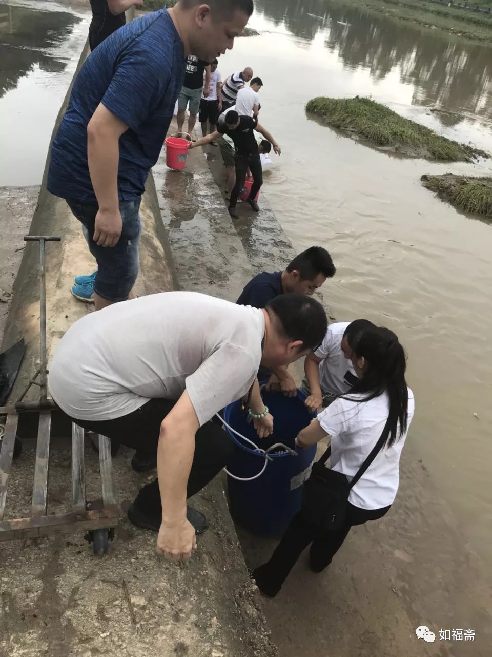 【如福文化】四海功德——（1）放生