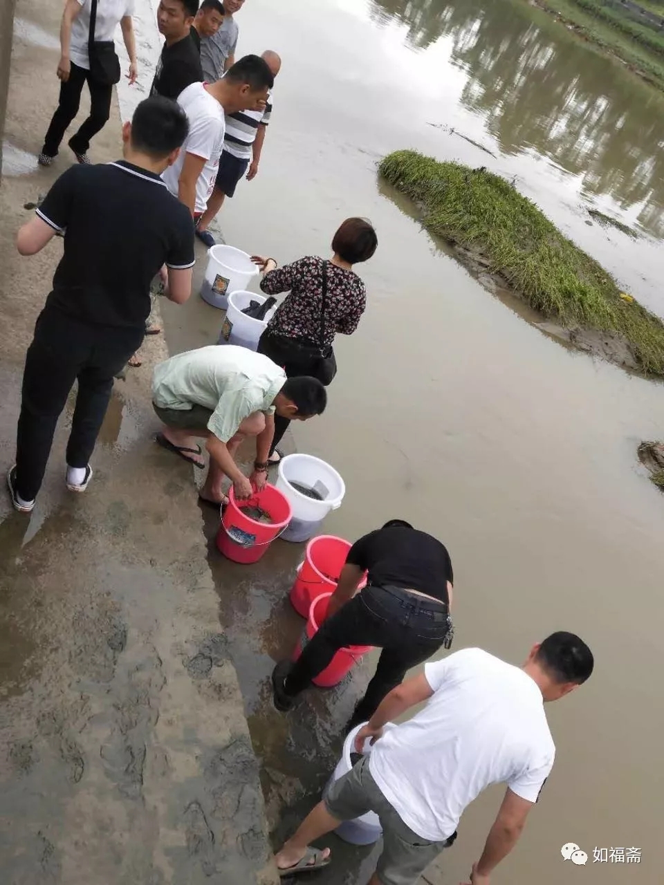 【如福文化】四海功德——（1）放生