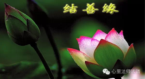 心里法师：多说好话 结好因缘