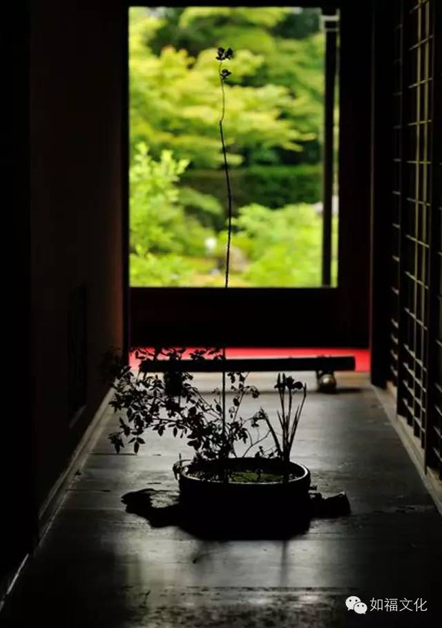 莫把善法当佛法